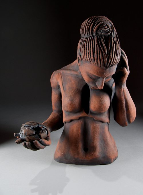 anon hmp parc reflection