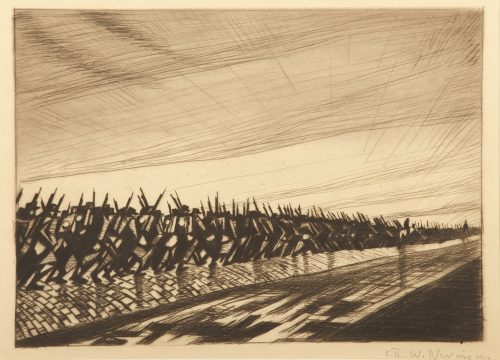c r w nevinson column on the march