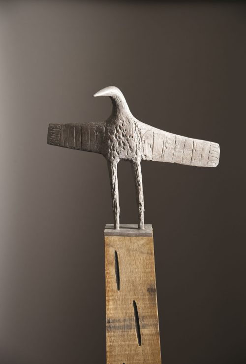 christopher marvell tall penwith bird