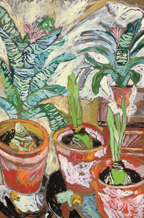 john bratby amaryllis