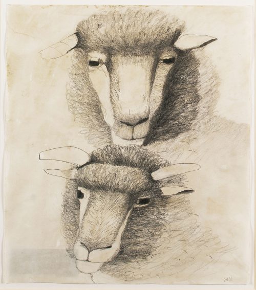 mary newcomb dorset horned polled ram and young ram