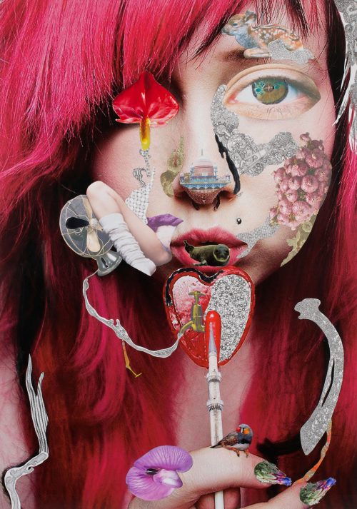 sarah tse sweet little sixteen collage