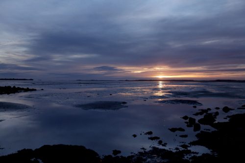 suki chan still point