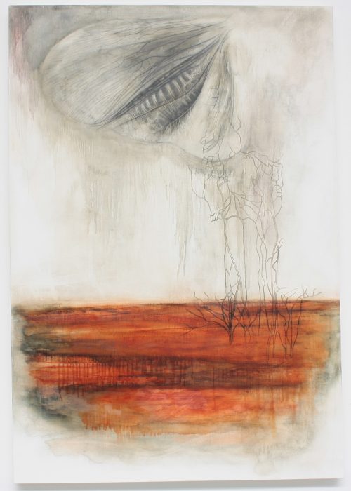 mattia cleri polidori suddenly above