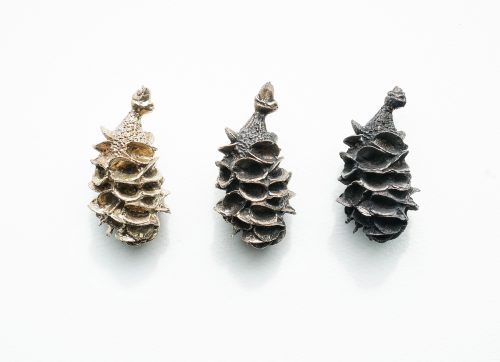 Kristina Chan Banksia Seeds (3 States)