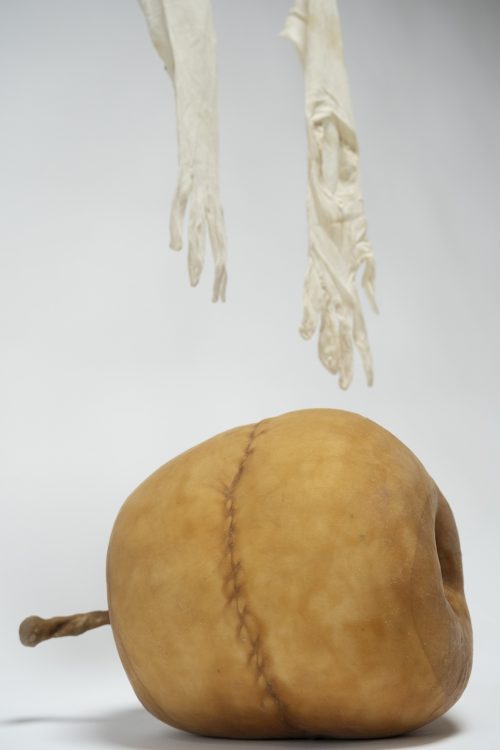 Abigail Norris, The Faellen Aeppel