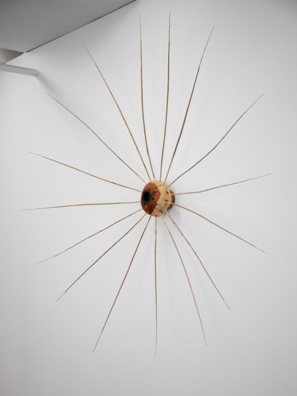 Giorgio van Meerwijk, Two Drams of the Seed, 2023