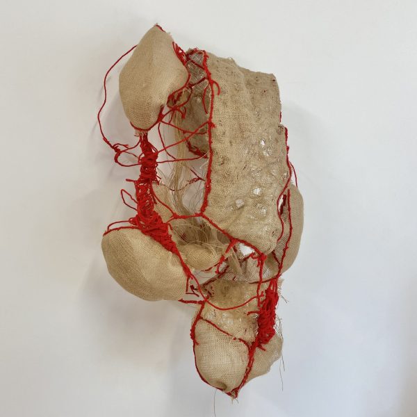 Joke Amusan, Cocoon #3, 2023