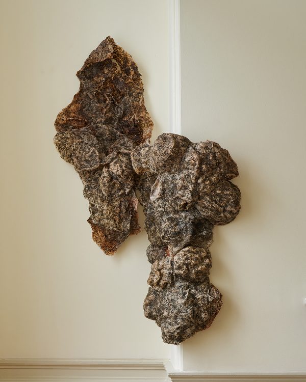 Louise Frances Smith, Epibiont, 2023