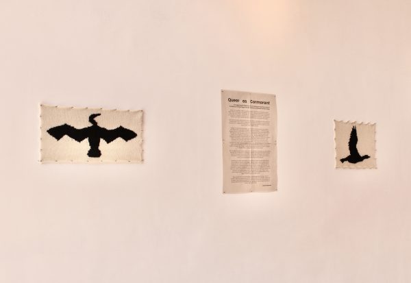 Leonie Cameron Queer as Cormorant 3 website