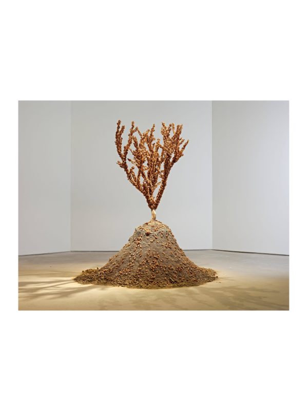 IPArtistSqCherrySong02 IPArtistSqCherrySong02